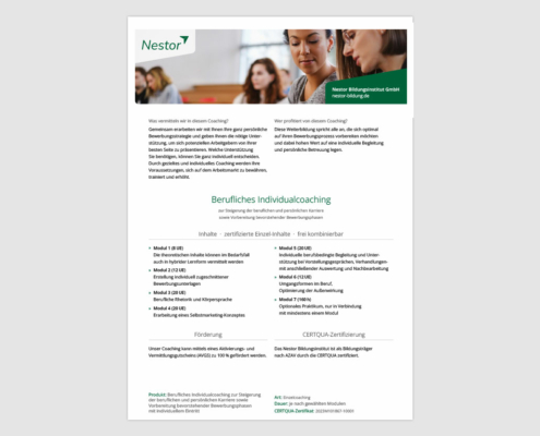 Produktblatt »Berufliches Individualcoaching«